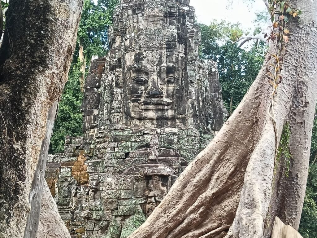 Guida italiana Angkor Wat - Specialista cosa vedere Cambogia